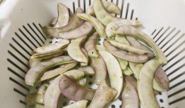 鹅可以吃瓠瓜吗