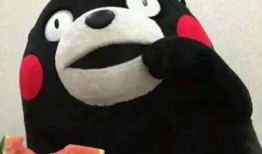 熊本熊吃瓜,瓜果盛宴欢乐无限