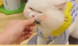 吃瓜啦什么意思