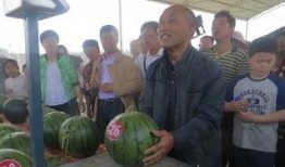 安溪浅陌吃瓜群众,吃瓜群众的趣味生活揭秘