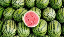 今天有瓜可以吃,精彩爆料等你来尝