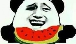 吃瓜群众改名了,揭秘网络昵称的演变之路