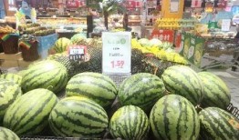 吃瓜节手工,一场全民参与的欢乐盛宴