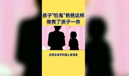 电视互动群众吃瓜,全民吃瓜盛宴，揭秘娱乐圈幕后风云