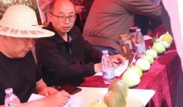 济宁吃瓜录音,揭秘背后惊人真相