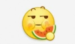 吃瓜神魔意思,探寻网络热词背后的文化现象