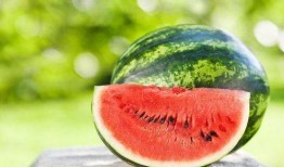 竖屏吃瓜,吃瓜群众如何紧跟热点？