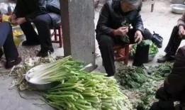 过年回农村吃瓜,过年回农村吃瓜的温馨时光