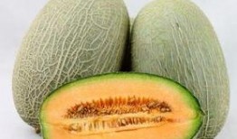 吃哈密瓜口干,却引发口干之谜