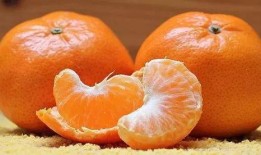 橘子吃瓜素材视频,一场视觉与味蕾的双重盛宴