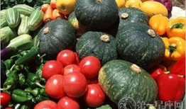 娱乐瓜吃瓜最新,揭秘明星背后的秘密与真相