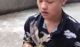 吃瓜楠哥,揭秘娱乐圈背后的那些事儿