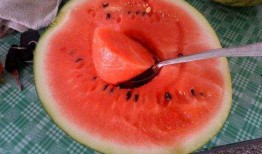 日本人吃梨瓜,传统美食中的甜蜜诱惑