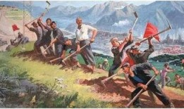 吃瓜视频森林,网络世界的绿色乐园