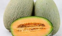 外伤吃哈密瓜,哈密瓜助力营养补给与肌肤修复