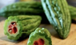 致臻吃瓜,揭秘娱乐圈幕后故事