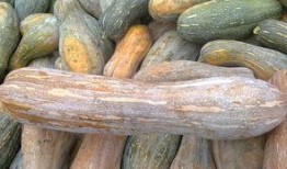 发芽的瓜可以吃吗,能否安全食用揭秘