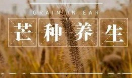 吃瓜芒种,吃瓜群众如何正确“吃瓜”