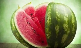 吃瓜适量,品味生活百态