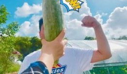 朋友在吃瓜,一场关于“吃瓜”的狂欢盛宴