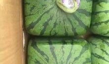 上海山瓜怎么吃,解锁夏日清新美味