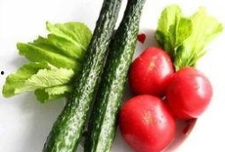绿菊瓜怎么吃,探索健康美味的烹饪新境界