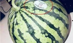 邯郸网红吃瓜,揭秘网络红人的幕后故事