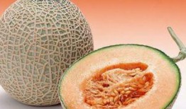 分手后梦见吃哈密瓜,哈密瓜的甜蜜与苦涩