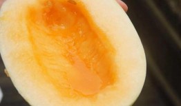 吃不到瓜的吃瓜爱好者,他们的独特视角与情感共鸣