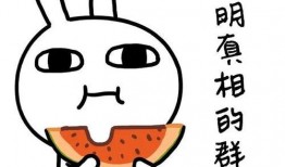 摸头吃瓜视频,揭秘网络短视频的趣味魅力