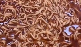 吃瓜火鸡面,揭秘吃瓜火鸡面的独特魅力