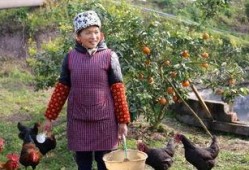 婺源觉醒姐吃瓜