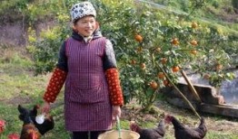 婺源觉醒姐吃瓜