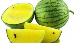 梦到摘瓠子瓜吃,揭秘摘瓠子瓜吃的神秘寓意