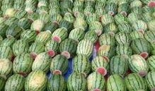 景区吃瓜女生叫什么