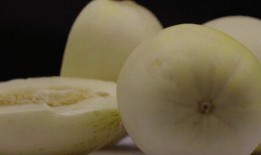 吃的白瓜是什么瓜,揭秘“吃的白瓜”的神秘身份