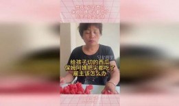 保姆吃的瓜,揭秘家政行业背后的酸甜苦辣