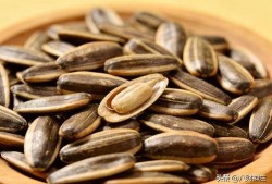 吃大瓜子的瓜,揭秘大瓜子的魅力与传承