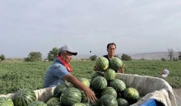 永年吃瓜最新事