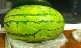 天气不错安静吃瓜,静享瓜趣时光