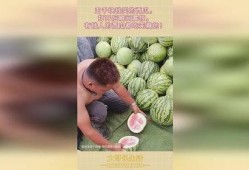 没钱买瓜吃,没钱也能享受的夏日时光