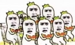 葫芦磊吃瓜群众,吃瓜群众的智慧与趣味