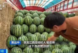 庄里吃瓜,揭秘乡村生活的酸甜苦辣