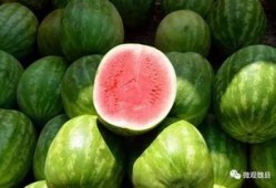 魏县诊所吃瓜,一场引发热议的乡村医疗风波