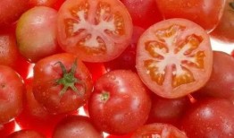 番茄小说吃瓜剧情,吃瓜群众背后的秘密风云