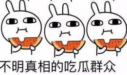 吃瓜盟主道歉原因,揭秘背后原因与反思