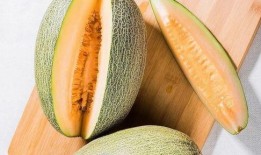 吃饭后能立刻吃哈密瓜吗,饭后立即食用哈密瓜的适宜性探讨