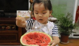 吃瓜群众摆摊