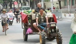 吃瓜群众摆摊