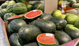 海口市吃瓜论坛,热议本地新鲜事，一网打尽街头巷尾趣闻